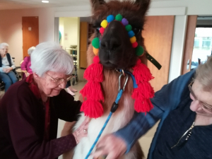 Atelier médiation animale