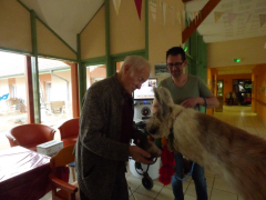 visite de SULLY